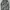 Dc Club Camo Jacket  photo 1