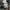 Blue Blue Japan Casual Flare pants Wanita gray photo 7