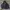 JACKET - THE NORTH FACE SUMMIT SERIES GORE-TEX photo 4