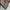 Jilbab segi empat hikmat photo 6