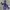 JACKET - THE NORTH FACE SUMMIT SERIES GORE-TEX XCR photo 2
