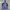 JACKET - THE NORTH FACE SUMMIT SERIES GORE-TEX XCR photo 3