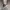 AIR JORDAN 1 HIGH OG SHADOW photo 8