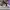 AIR JORDAN 1 HIGH OG HAND CRAFTED photo 3