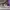 AIR JORDAN 1 HIGH OG HAND CRAFTED photo 1