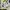 Zara Graffiti All Over Print Button Shirt photo 5