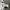 Adidas Aeroready Shirt Three Stripe photo 4