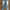 Ceoana Jeans Light Blue