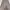 ROK SATIN ETEREINE DARK BEIGE UK S photo 1