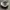 Streetwear Hat Pria white brown photo 4