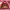 Tas Linden | Tas Kulit | Mini Folie Bag photo 1