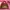 Tas Linden | Tas Kulit | Mini Folie Bag