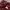 UNIQLO Ziphoodie Maroon