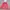 Victoria's Secret 34B