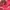 Victoria's Secret 34B photo 5