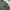 Casual Formal shirt Pria gray photo 3