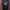 Jersey Manchester United 2015-2016 Original photo 1