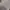 Jersey Manchester United 2015-2016 Original photo 5