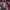 Jersey Manchester United 2015-2016 Original photo 3