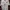 Jersey Manchester United 2015-2016 Original photo 1