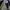Theraw baggy long pants photo 8