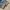 66Girls Straight Blue Long pants jeans photo 6