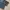Something Edwin Slim Straight fit Long Denim photo 6
