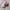 2000s Vintage Oakley Pink Faded Cap photo 2