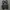 Nike Tn photo 5