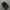 Nike Tn photo 3