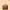 Anne Klein Genuiner Leather Tote Bag (Brown) photo 1