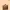 Anne Klein Genuiner Leather Tote Bag (Brown)