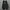 adidas NICE KICKS photo 5