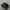 adidas NEIGHBORHOD photo 1