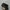 adidas NEIGHBORHOD photo 2