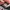 adidas NEIGHBORHOD photo 6