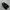 adidas NEIGHBORHOD photo 3