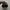 adidas NEIGHBORHOD photo 4