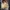bob ross photo 2