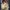 Bob Ross