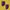 Polo Ralph Lauren Purple Medium Tote Bag photo 4