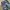 RUDOLP VALENTINO  MULTY CARGO SIZE 30 photo 7