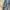 RUDOLP VALENTINO  MULTY CARGO SIZE 30 photo 4