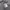 Vintage Y2K Formal shirt Pria white gray photo 3
