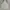 Snow Peak Streetwear Gorpcore Vest Pria silver green photo 3