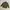 Junggle Fatigue Repro OG photo 1
