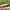 New Balance fresh foam X more V4 photo 5