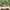 New Balance fresh foam X more V4 photo 2