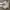 Adidas sb daily 4 point 0 photo 5