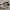 Adidas sb daily 4 point 0 photo 3